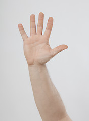 Image showing open hand