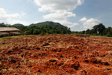 Image showing soil