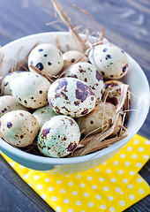 Image showing quail eggs