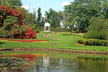 Image showing Garden