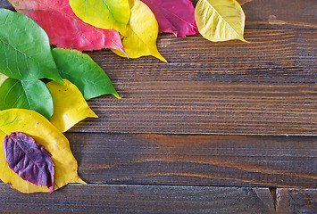 Image showing automn background