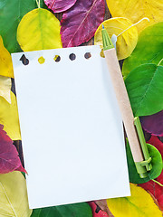 Image showing automn background