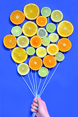 Image showing Citrus  slices fruits concept