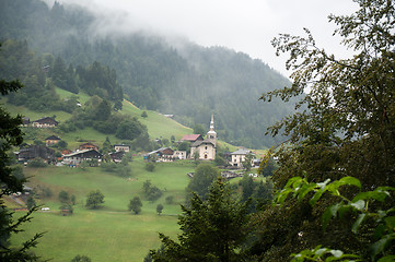 Image showing Alpine forest nature