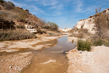 Image showing Water spring in a desert