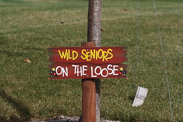 Image showing Wild Seniors