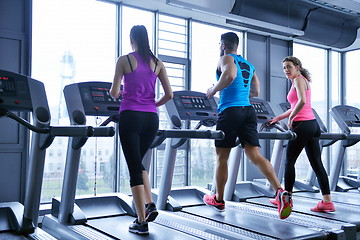 Image showing Group of people running on treadmills