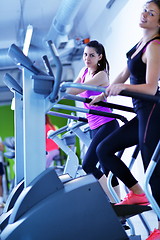 Image showing Group of people running on treadmills