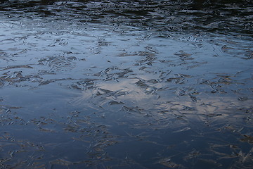 Image showing lake getting frozen