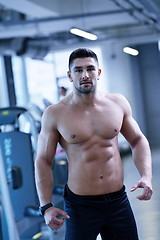 Image showing handsome man exercising at the gym