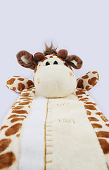 Image showing Stuffed toy