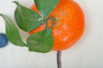 Image showing tangerine and blueberry on white table