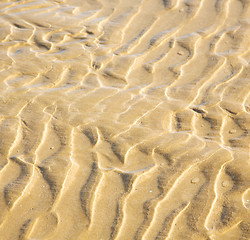 Image showing dune morocco in africa brown coastline wet sand beach near atlan