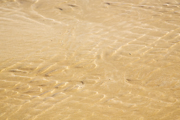 Image showing dun  in africa brown coastline wet sand beach  