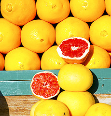 Image showing orange fruit  texture in morocco africa 