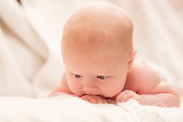 Image showing Two-month old baby girl baby girl