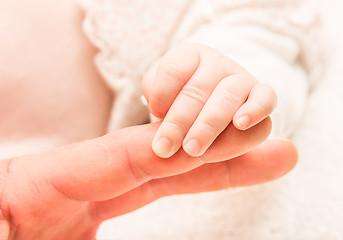 Image showing Hand of the newborn child