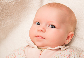 Image showing Two-month old baby girl baby girl