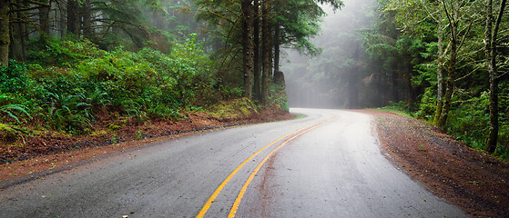 Image showing Misty Forest Two Lane Highway Rural Country Coastal Road