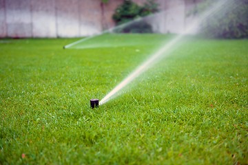 Image showing Grass Sprinkler closeup photo