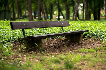 Image showing Stylish bench in autumn park