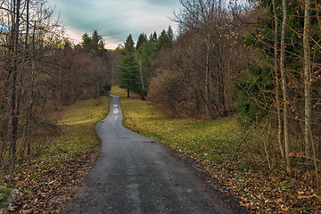 Image showing Small Pathway going trough the forest