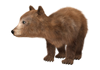 Image showing Little Brown Bear