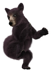 Image showing Little Black Bear