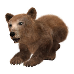 Image showing Little Brown Bear