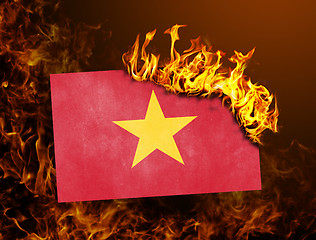 Image showing Flag burning - Vietnam