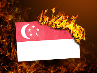 Image showing Flag burning - Singapore