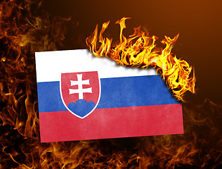 Image showing Flag burning - Slovakia