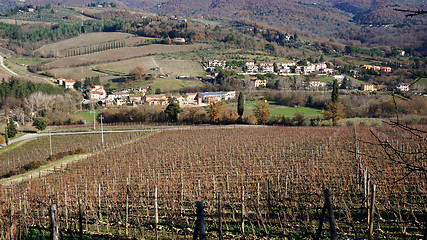 Image showing 
Wineyard in the winter 					