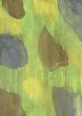 Image showing background, carmouflage