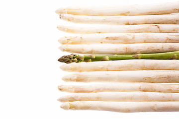 Image showing Green Asparagus Amidst Ten White Asparagus Spears