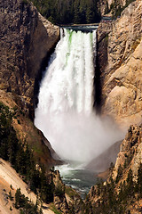 Image showing Yellowstone Lower Falls