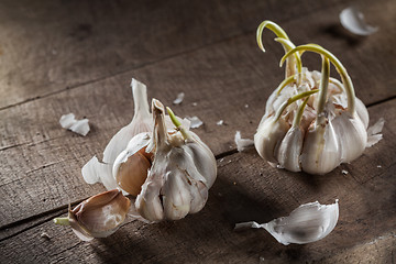 Image showing Organic garlic on wood