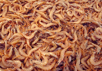 Image showing Prawns in a market