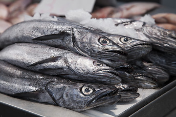 Image showing Fresh fish on ice