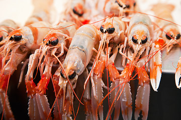 Image showing Fresh crawfish in a market