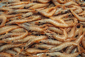 Image showing Prawns in a market