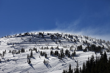 Image showing Winter Carpathian Mountains at sun windy day