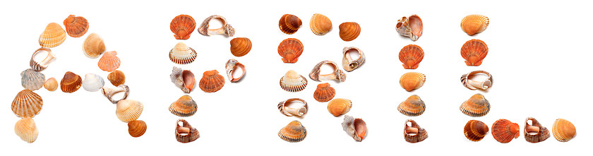 Image showing A P R I L text composed of seashells