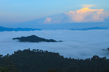 Image showing sea of fog with forests as foreground