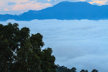 Image showing sea of fog with forests as foreground