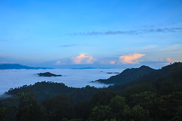 Image showing sea of fog with forests as foreground