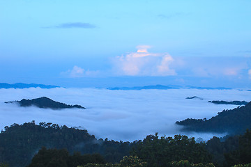 Image showing sea of fog with forests as foreground