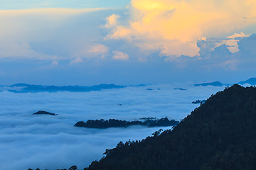 Image showing sea of fog with forests as foreground