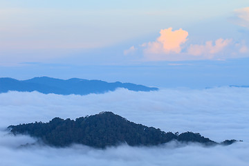 Image showing sea of fog with forests as foreground