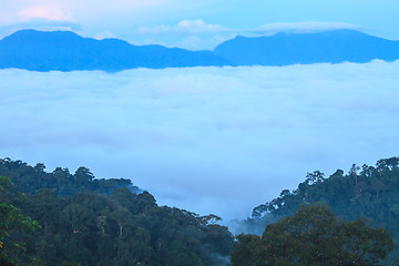 Image showing sea of fog with forests as foreground